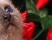 Юлия Муртазина фотография #23