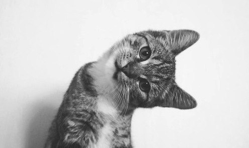 Лидия Пенцова | Краснодар