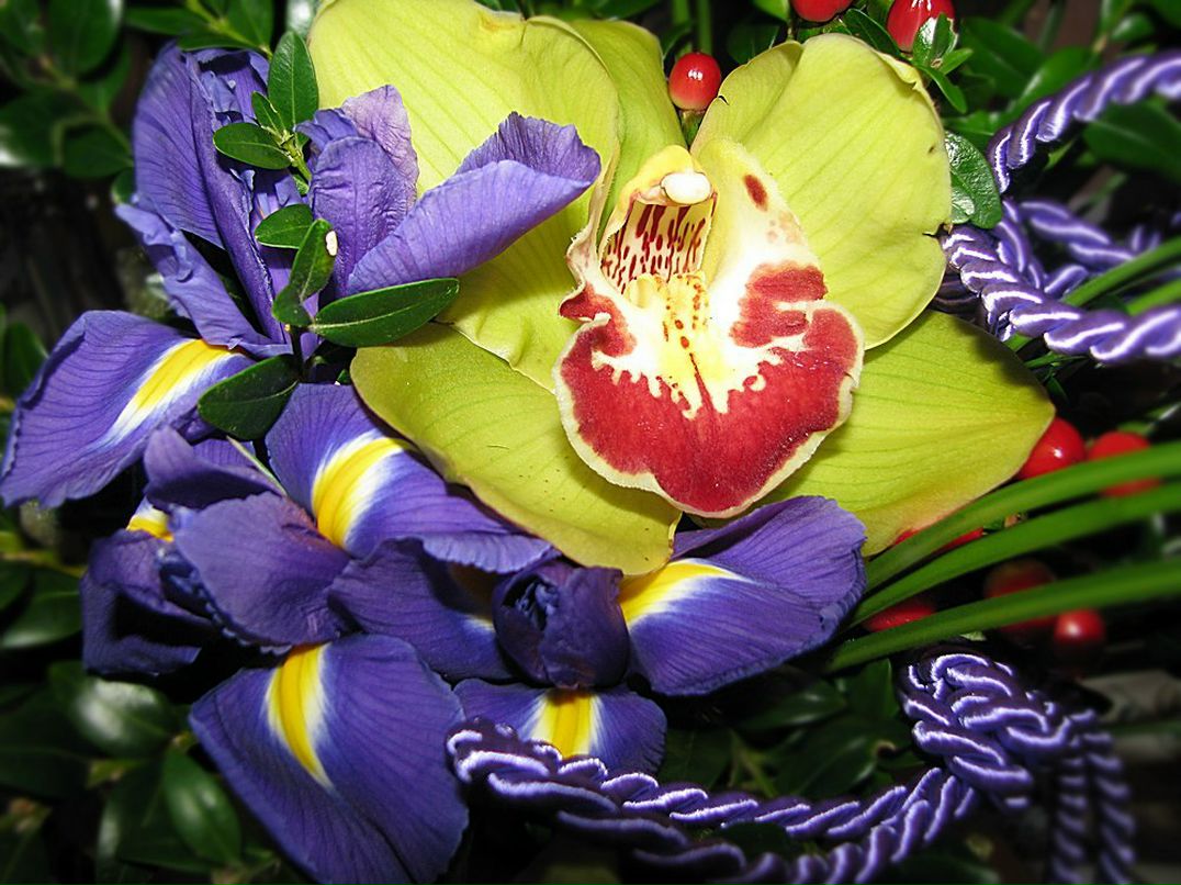 Таня Санкина | Новосибирск