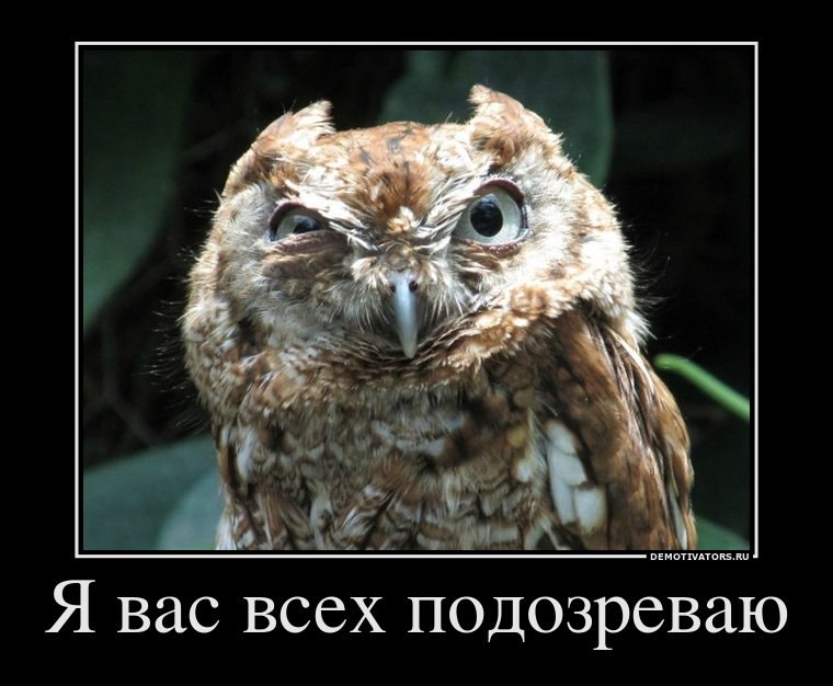 Кирилл Ишуков | Санкт-Петербург