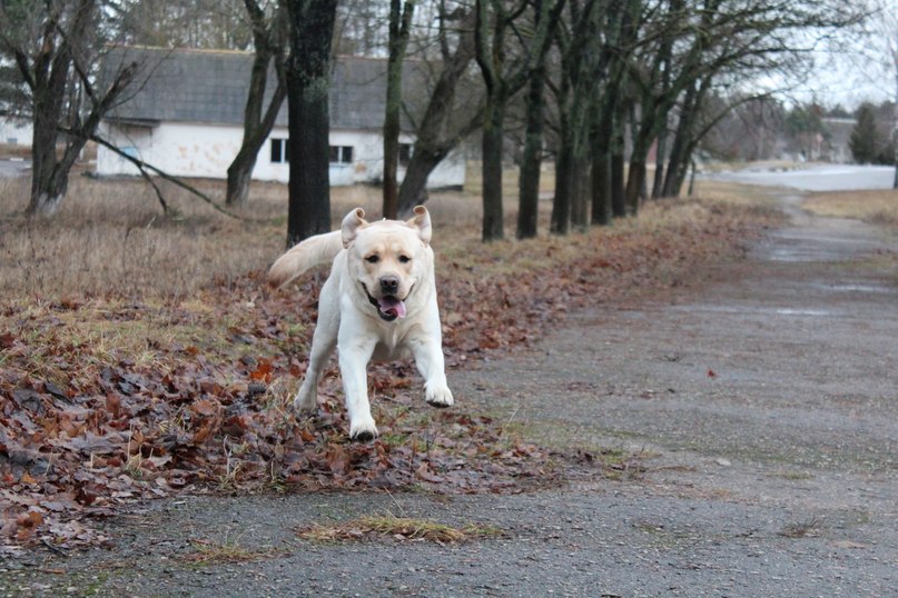 Veronika Melnikova | 