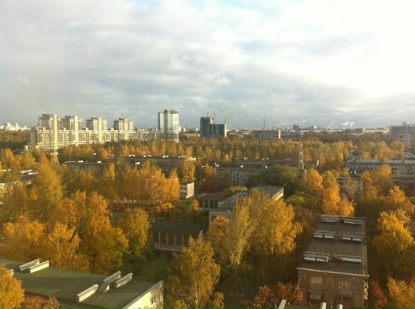 №167, Татьяна Цирульник, Санкт-Петербург №167, Татьяна Цирульник, Санкт-Петербург