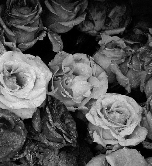 Алексей Симонец | Днепр (Днепропетровск)