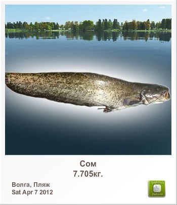 Ольга Серватинская | Саратов