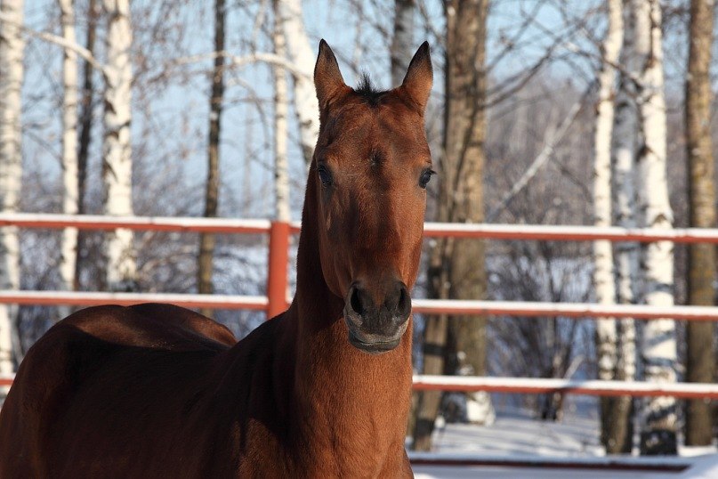 Мария Данилочкина | Санкт-Петербург