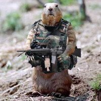 Вячеслав Коптилин | Междуреченск