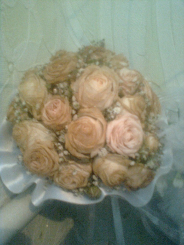 Наталя Ковальчук | Радивилов