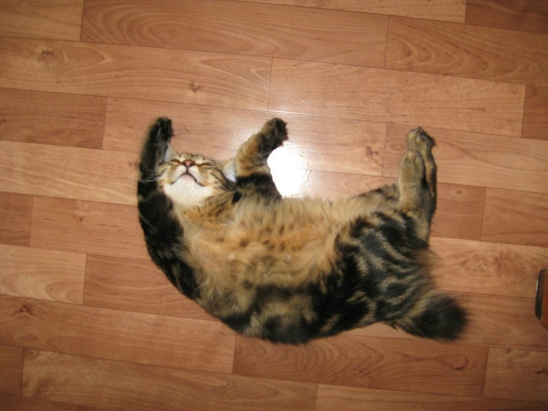 Максим Ковальчук | Санкт-Петербург