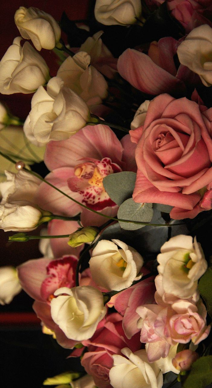 Елена Прекрасная | Москва