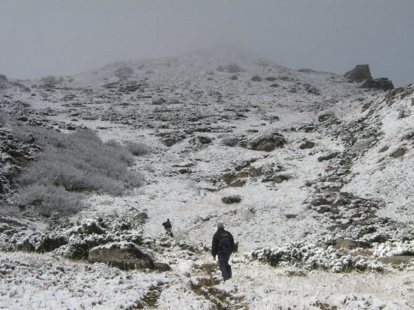 Наталія Тацишин-Войчишин | Ивано-Франковск