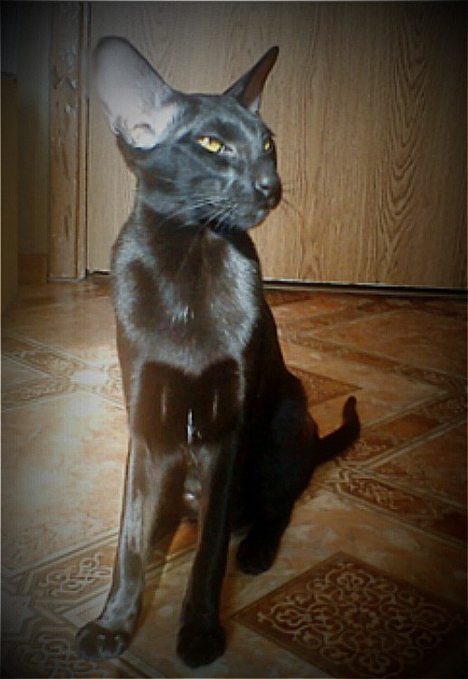 Юлия Минеева | Иваново