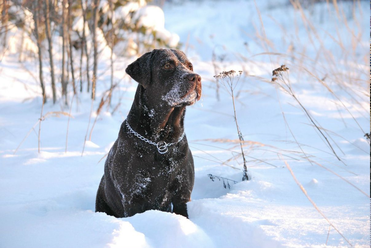 Светлана Заплаткина | Москва