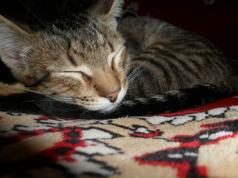 №147, Алёночка Бурда, 33 года, Одесса №147, Алёночка Бурда, 33 года, Одесса