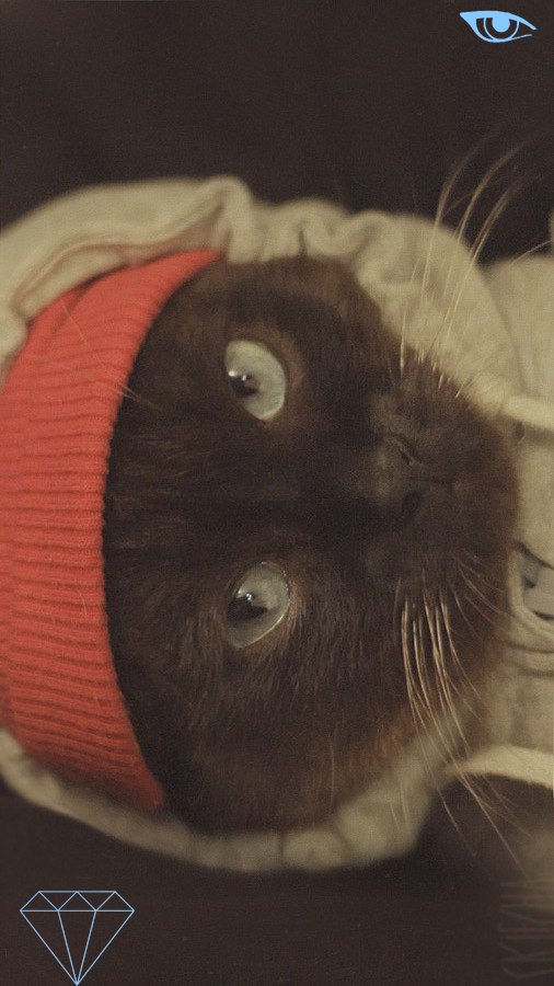 Федор Громов | Оренбург