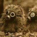 Виталий Серверов | 