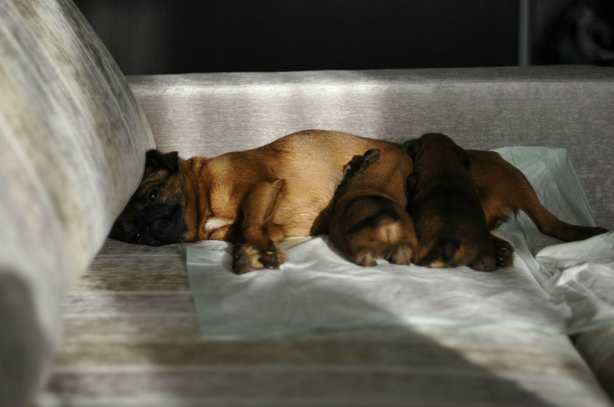 Алёна Котова | 