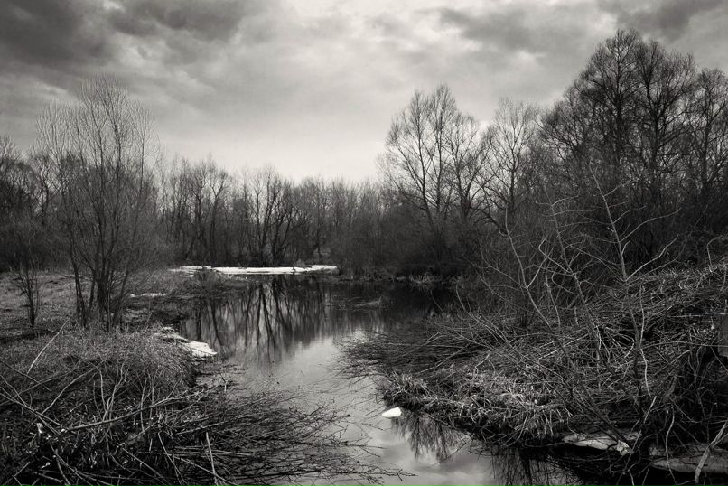 Евгений Боровлев | Курск