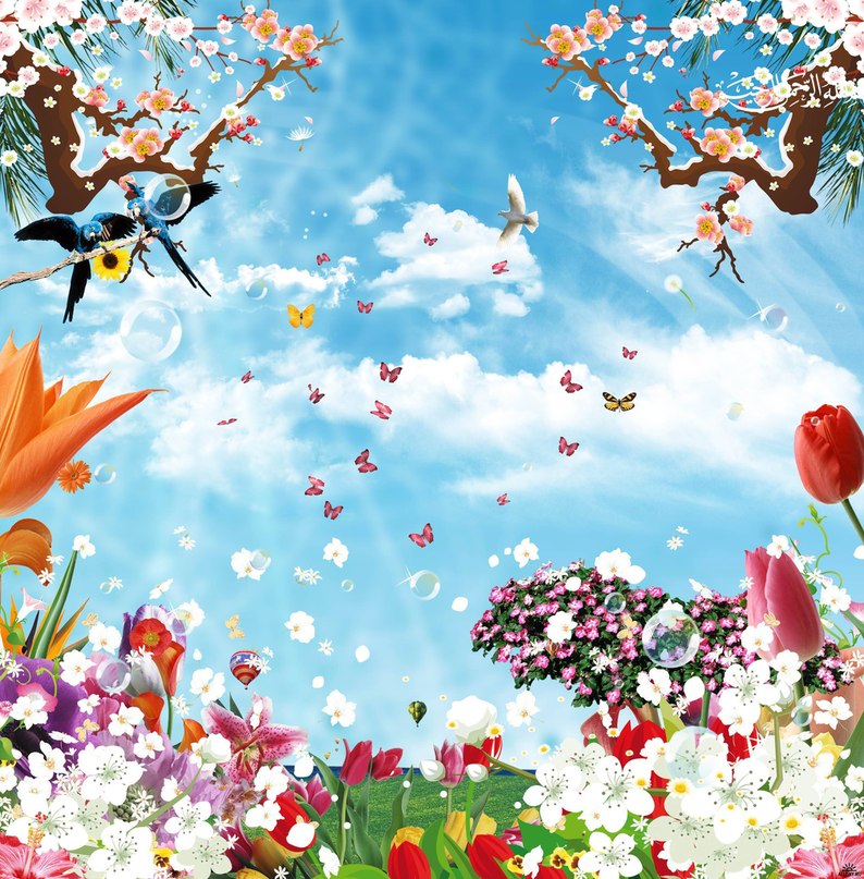 Дарья Никитина | Ярцево