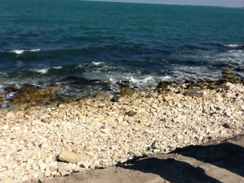 Евгений Райтов | Москва