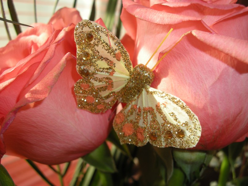 Светик Shaiybakova | Санкт-Петербург