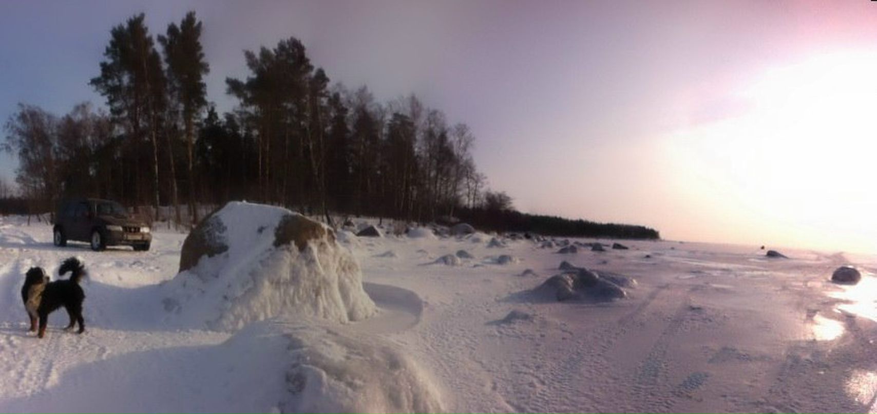 Алексей Резников | Санкт-Петербург