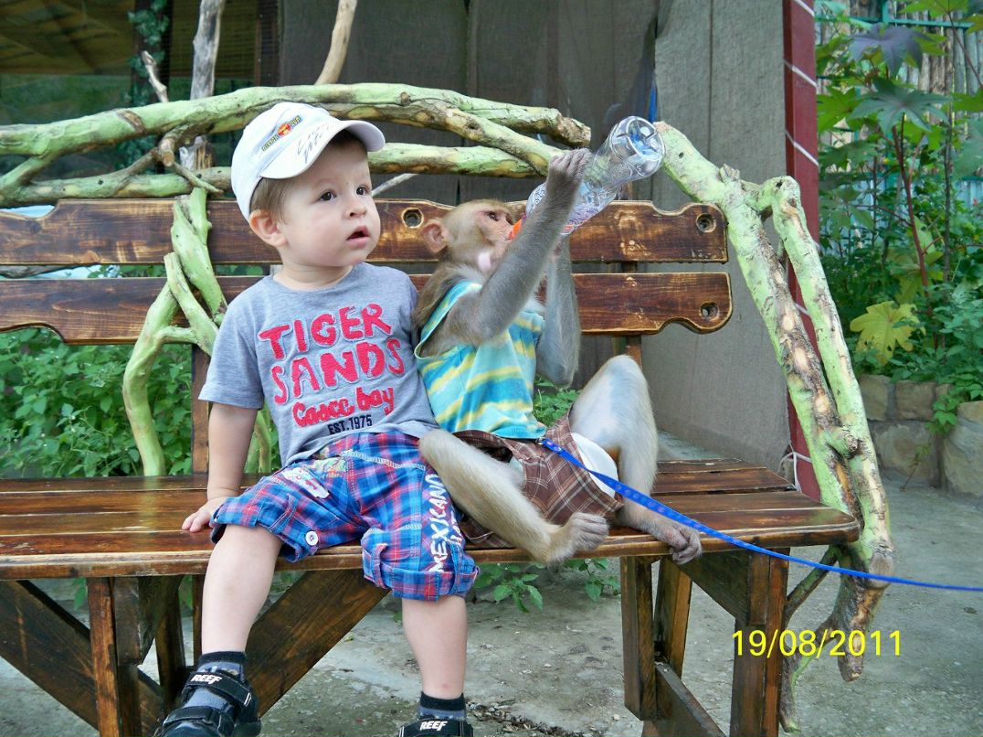 Александр Безгин shusha05 | Краснодар