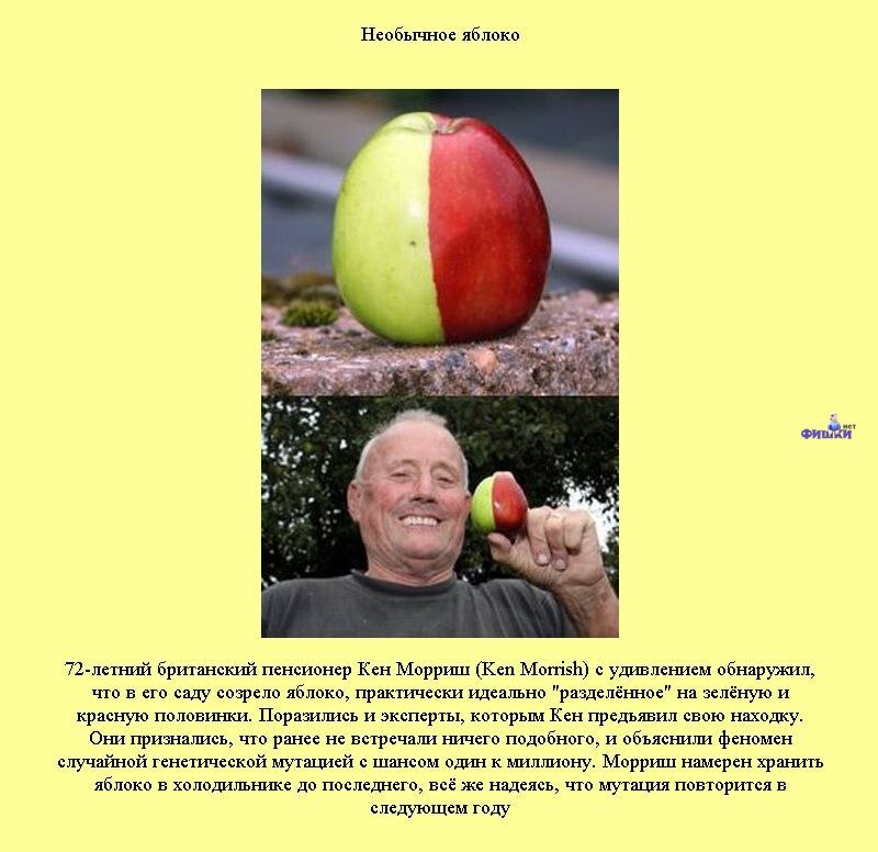 Олег Ковалёв Иванович | Санкт-Петербург