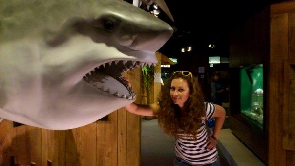 Инесса Шановская | 