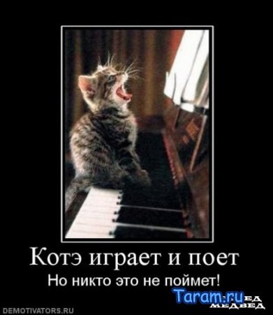 №42, Игорь Червоный, Кропивницкий / Кировоград №42, Игорь Червоный, Кропивницкий / Кировоград