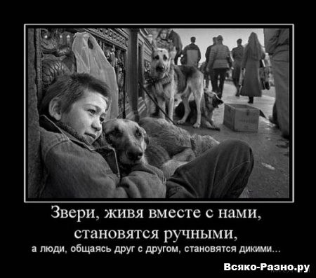 №132, Игорь Червоный, Кропивницкий / Кировоград №132, Игорь Червоный, Кропивницкий / Кировоград