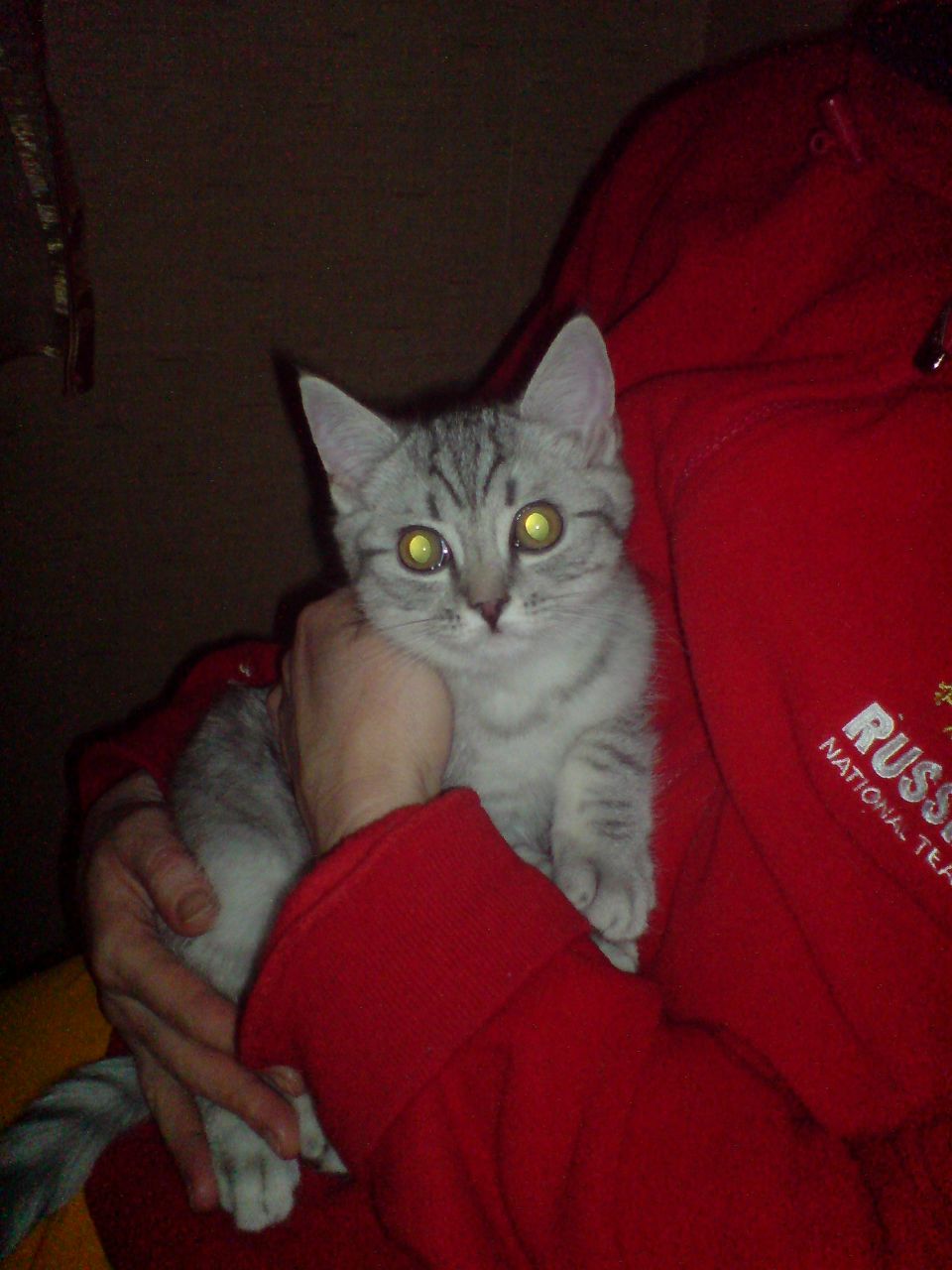 Лёха Шикунов | Омский