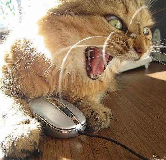 Ефим Трутко -f1mky- | Минск