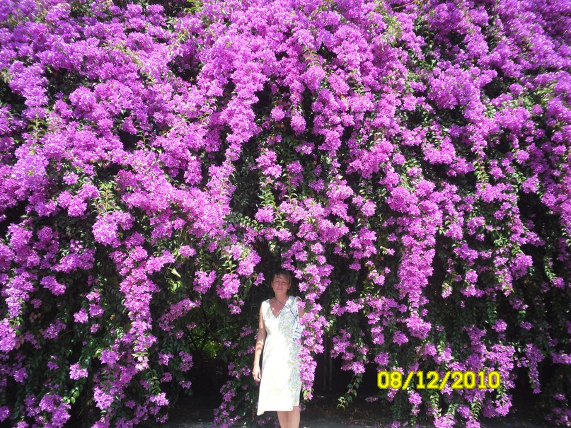 Ирина Милехина | Лесной