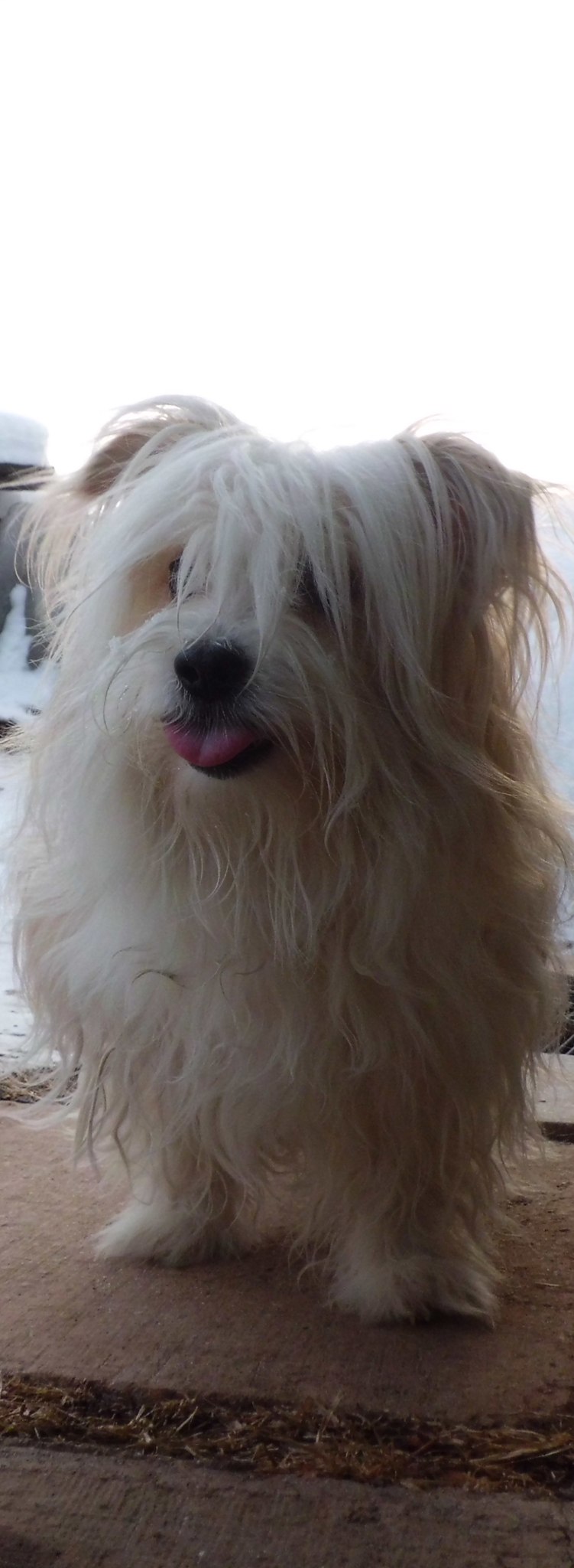 Саша Соколов | Ижевск