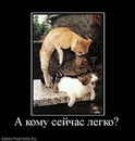 №13 Елена Ефимова : профиль, фото, статус - ВКонтакте