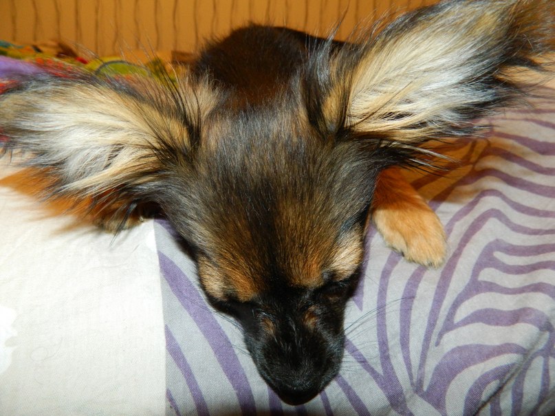 Оксана Бельская | Ульяновск