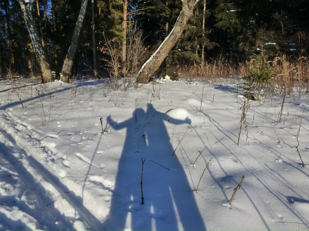 Stephen Kurguzov | Москва