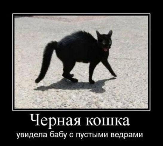 Маргарита Чистякова | Ростов-на-Дону