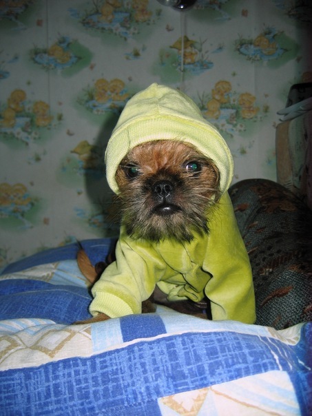 №1, Людмила Романова, Петрозаводск №1, Людмила Романова, Петрозаводск