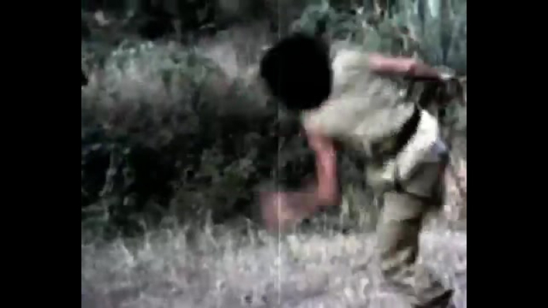JACKIE CHAN vs ROY HORAN SNAKE IN THE EAGLES