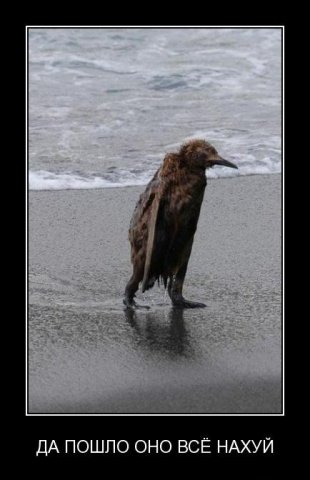 №68, Анютка Андрейченко, 39 лет, Екатеринбург №68, Анютка Андрейченко, 39 лет, Екатеринбург