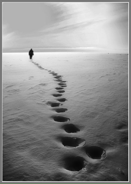 №5, Андрей Солдатов, 37 лет, Рязань №5, Андрей Солдатов, 37 лет, Рязань