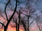 №13 Миша Чернецов 14.02.1985: профиль, фото, статус - ВКонтакте №13 Миша Чернецов 14.02.1985: профиль, фото, статус - ВКонтакте