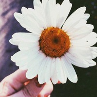 🌸Дев¤чка м¤я,🌸будь сильнее 🙈💕😻 🌸Дев¤чка м¤я,🌸будь сильнее 🙈💕😻