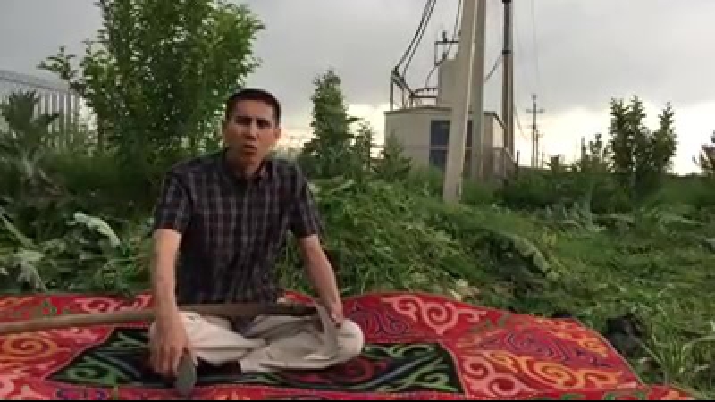 Бау бақша жайлы