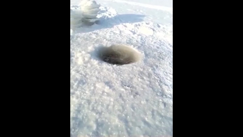 Искупался в