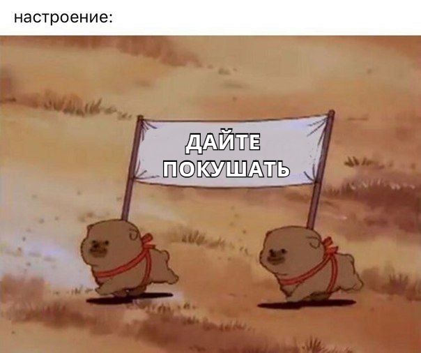 https://sun9-67.userapi.com/c845420/v845420765/13eddc/5qiYNe7FeXA.jpg