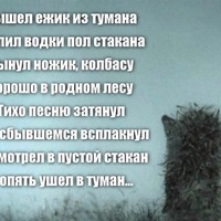 Владимир Поляков