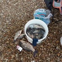 Владимир Югай | Караганда