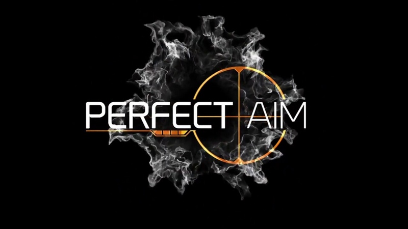 Perfect ai. Надпись UNDETECTED. To aim for perfection. PUBG Season 12 avatar.